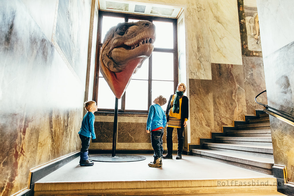 Naturhistorisches Museum Basel 